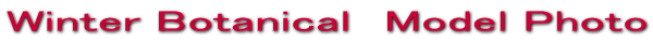 Winter Botanical��Model Photo 