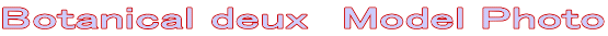 Botanical deux��Model Photo 