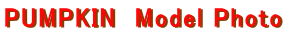 PUMPKIN��Model Photo