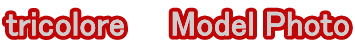 tricolore�@�@Model Photo 