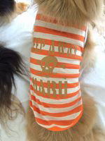 ���å������μ�������